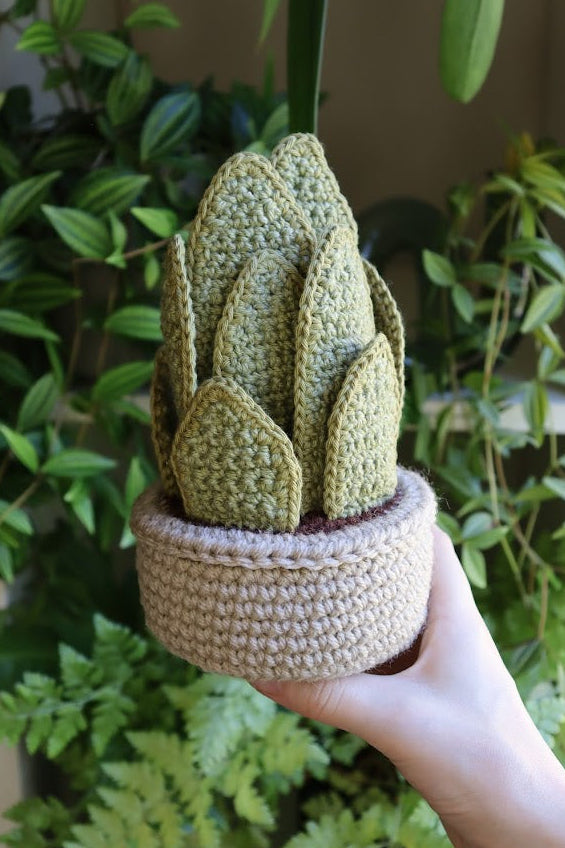 Crochet Snake Plant
