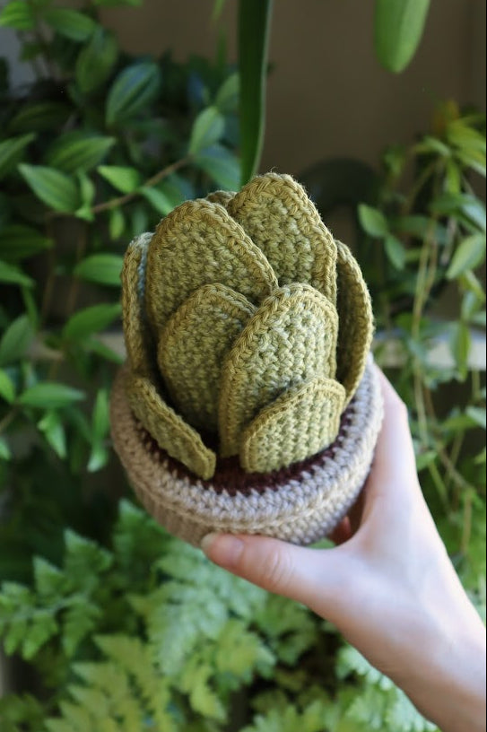Crochet Snake Plant