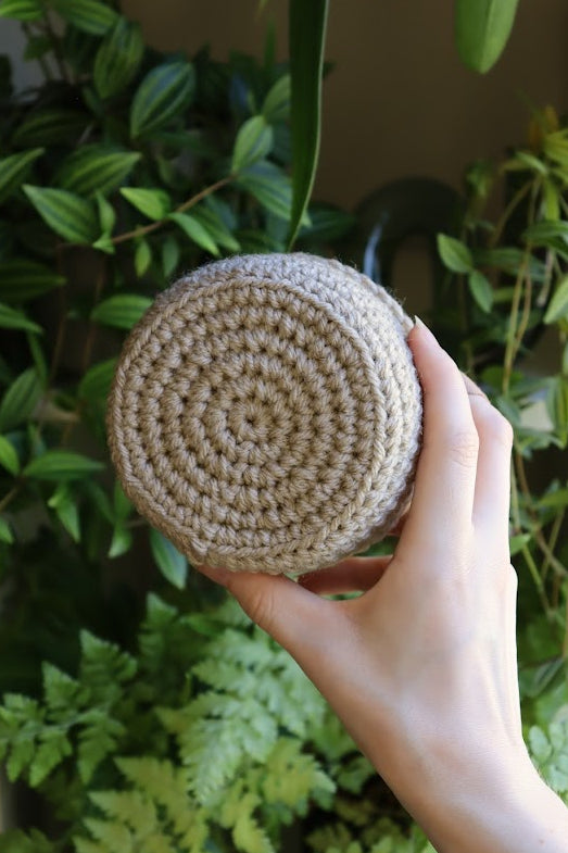 Crochet Snake Plant