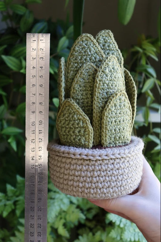 Crochet Snake Plant