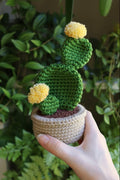 Crochet Yellow Flower Prickly Pear Cactus
