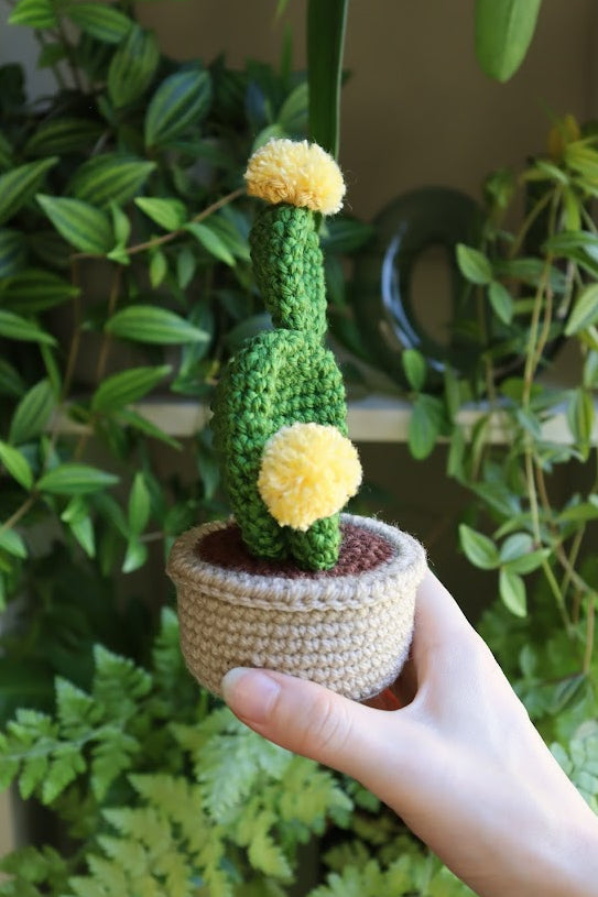 Crochet Yellow Flower Prickly Pear Cactus