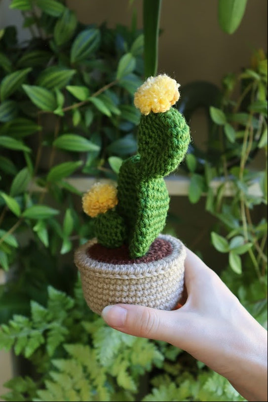 Crochet Yellow Flower Prickly Pear Cactus