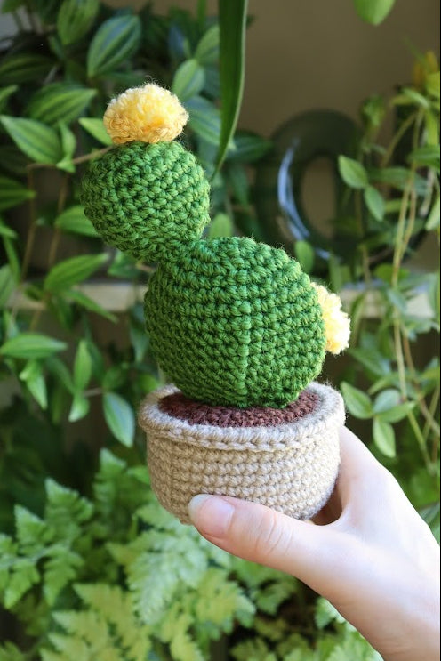 Crochet Yellow Flower Prickly Pear Cactus