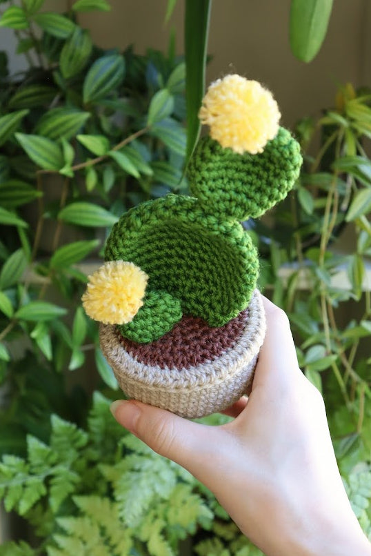 Crochet Yellow Flower Prickly Pear Cactus