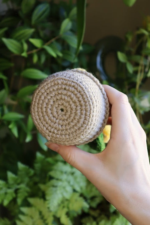 Crochet Yellow Flower Prickly Pear Cactus