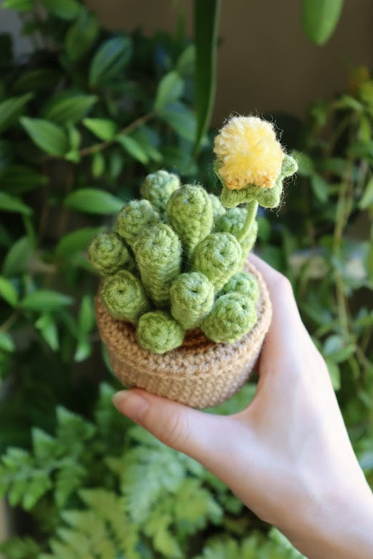 Crochet Baby Toes Succulent