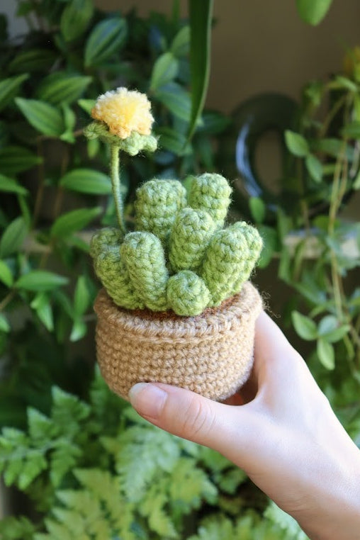 Crochet Baby Toes Succulent