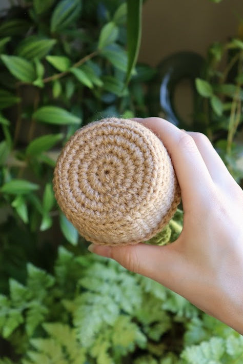 Crochet Baby Toes Succulent
