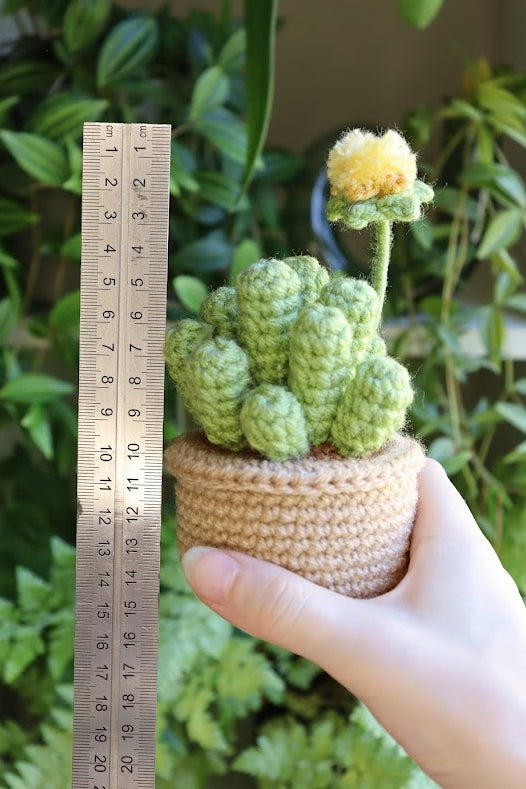 Crochet Baby Toes Succulent