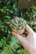 Crochet Mini Succulent