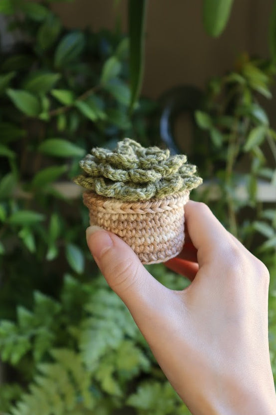 Crochet Mini Succulent