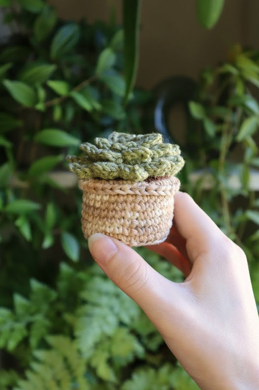 Crochet Mini Succulent
