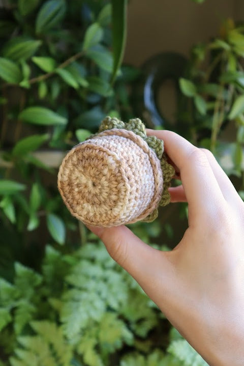 Crochet Mini Succulent