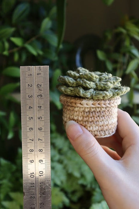 Crochet Mini Succulent