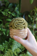 Crochet Brain Plant