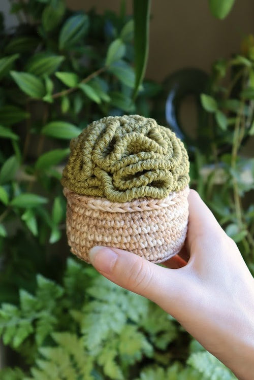 Crochet Brain Plant