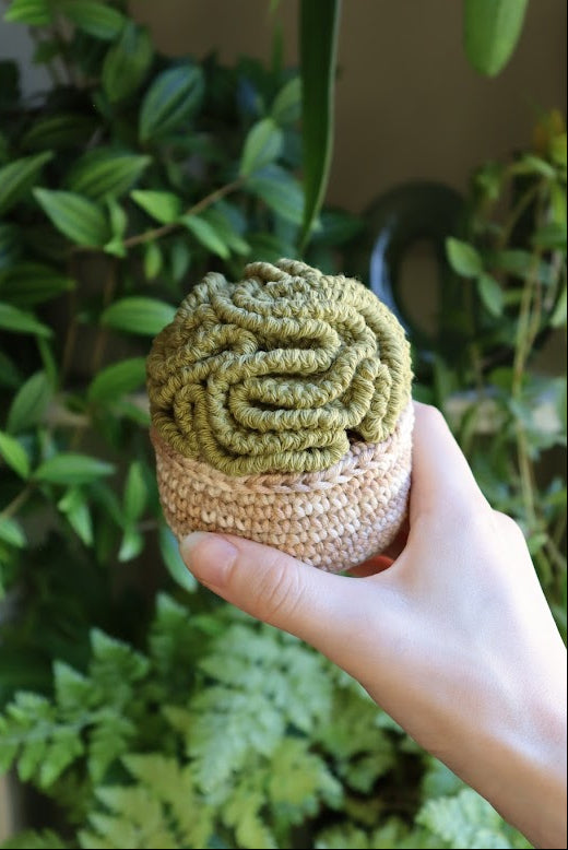 Crochet Brain Plant