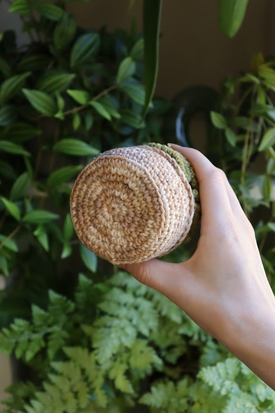 Crochet Brain Plant