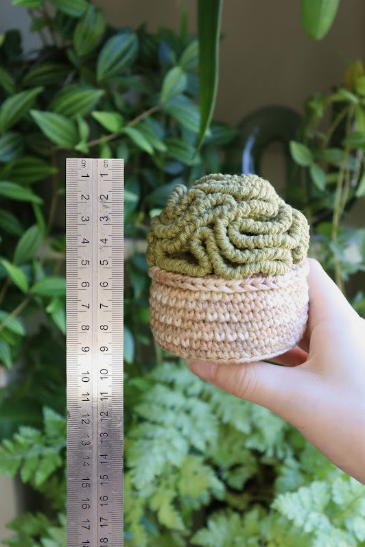 Crochet Brain Plant