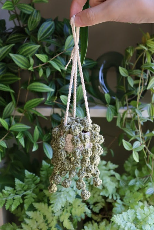 Crochet Small Hanging String of Pearls