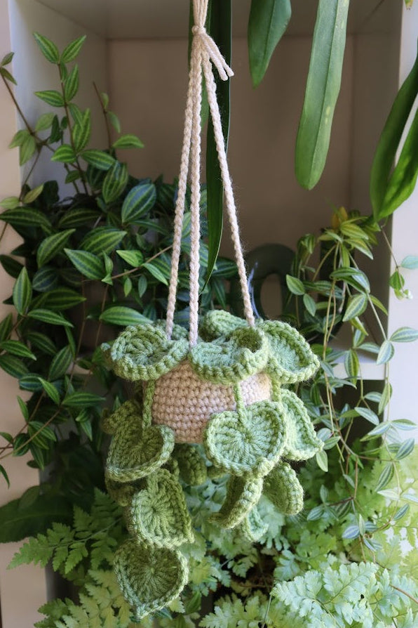 Crochet Big Heart Leaf Hanging Plant