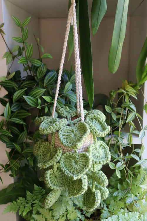 Crochet Big Heart Leaf Hanging Plant